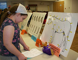 4-Her identifies horse anatomy.