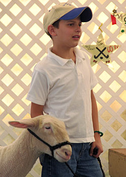 A 4-H'er with a sheep.