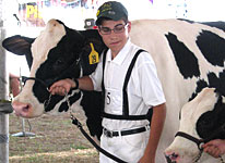 Yet another 4-H'er with a cow.