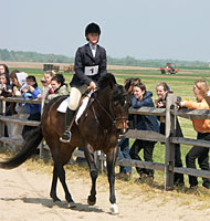 Horse judging.