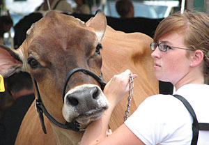A 4-H'er and a cow.