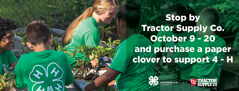 4-H and TSC Paper Clover Campaign photo