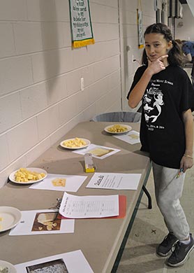 A 4-H'er pondering different cheese samples.