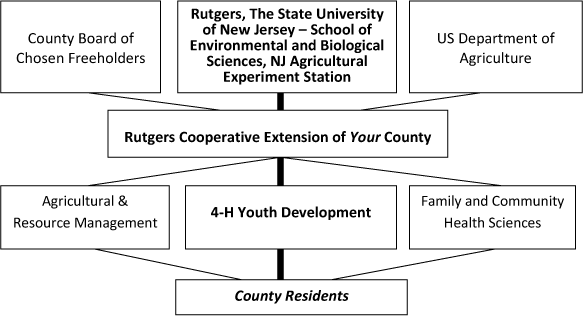 Diagram of 4-H relationship in NJ.