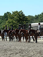 A row of 4-Hers on horses.