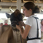 Another 4-H'er with a cow.