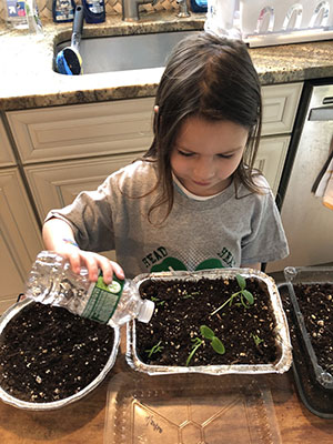 Indoor garden