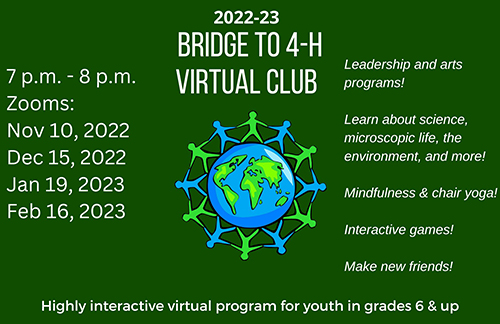 Bridge to 4-H virtual club flyer.