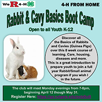 Rabbit and Cavy Basics Boot Camp flyer.