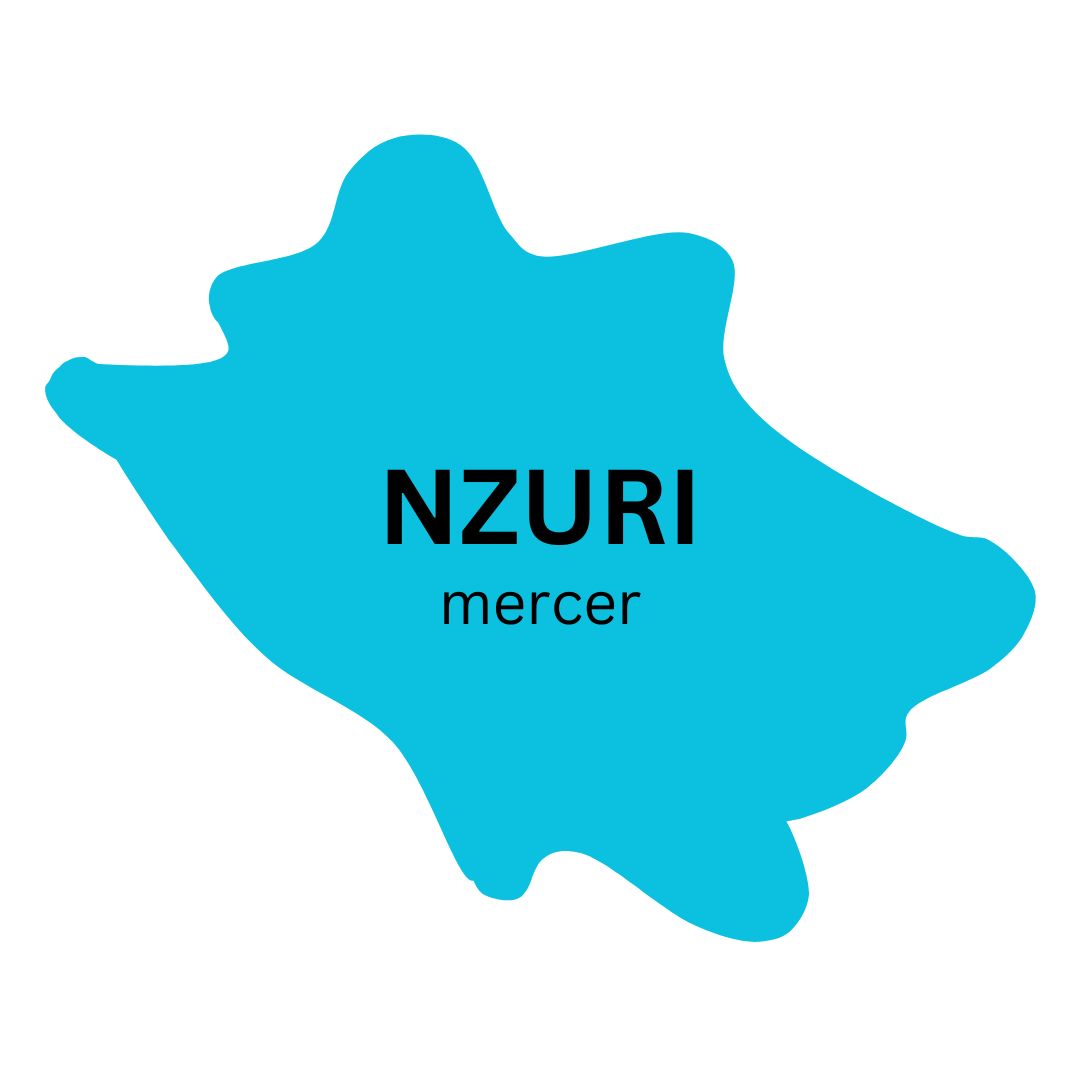 A graphical representation of Mercer county, with the text 'Nzuri - Mercer' in the center.