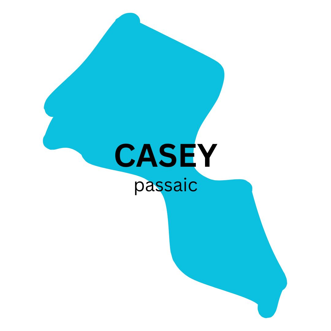 A graphical representation of Passaic county, with the text 'Casey - Passaic' in the center.