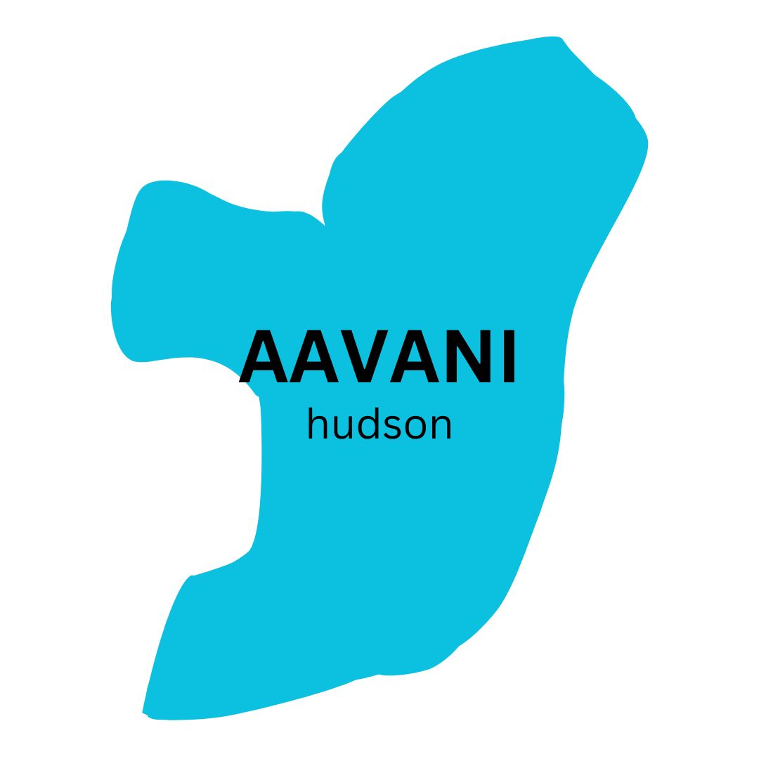 A graphical representation of Hudson county, with the text 'Aavani - Hudson' in the center.