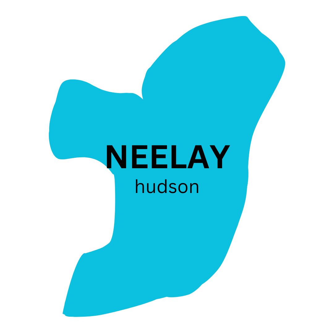 A graphical representation of Hudson county, with the text 'Neelay - Hudson' in the center.