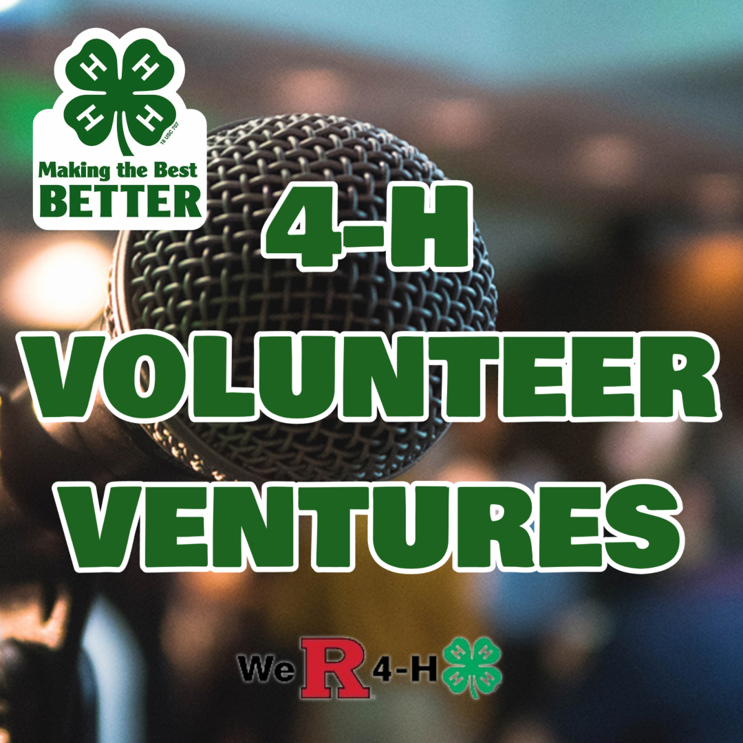 4-H Volunteer Ventures.